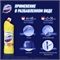 Domestos (Доместос) чистящее средство 1 л . Лимонная свежесть 2117 - фото 20172