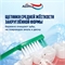 Зубная щетка Aquafresh Standart для чистки зубов и предотвращения повреждений эмали и десен, средней жесткости Аквафреш 2298 - фото 21872