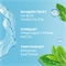 Colgate (Колгейт) Ополаскиватель для полости рта Plax Освежающая мята, 250 мл 2330 - фото 21905