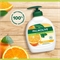 Жидкое крем-мыло для рук Palmolive (Палмолив) Натурэль Витамин C и Апельсин, 300 мл 1663 - фото 22193