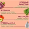 Бальзам для жирных волос, объём и блеск с экстрактами эстрагон, красный виноград, настурция "TRIOBIO" 250 мл. 5430 - фото 23076