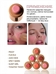 Кремовые румяна PAGE VINE, оттенок 03# Spicy Marg европейский бренд 5941